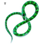 Inflatable Snake Jungle Serpent Costume Prop Party Decoration 152cm