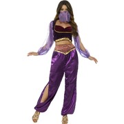Adult Purple Arabian Princess Costume (Small, 8-10) Pk 1
