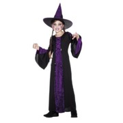 Bewitched Child Halloween Witch Costume (Small, 4-6 Yrs) Pk 1