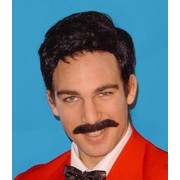 Wig 80' s Game Show Host Black Pk1 