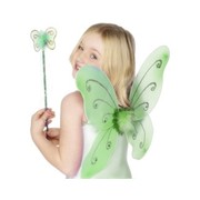 Child Green Butterfly Wings & Wand Pk 1