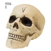 PVC Skull with Moveable Jaw Halloween Decoration 21cm - Aged Look