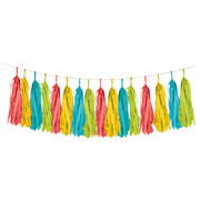 Multi Coloured Tissue Paper Tassel Garland Kit (2.43m) Pk 1