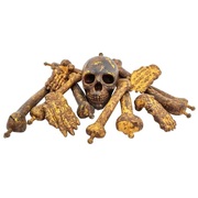 Halloween Bag of Plastic Bone Decorations (Pk 13)