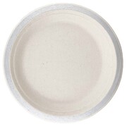Sugar Cane White Eco Plate with Silver Trim 23cm Pk 10