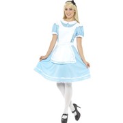 Adult Wonder Princess Costume (X Large, 20-22)
