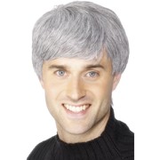 Corporate Executive Short Grey Wig Pk 1