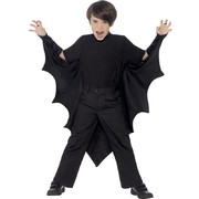 Child Vampire Bat Wings Halloween Costume (One Size Fits Most) Pk 1