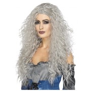 Halloween Long Grey Messy Banshee Wig Pk 1