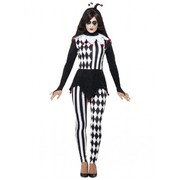 Adult Female Jester Costume (Large, 16-18)