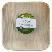 Eco Palm Leaf Square Plates (8in.) Pk 10