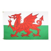 Wales Welsh Dragon Fabric Flag | 150cm x 90cm Decorative Banner with Eyelets