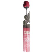 Valentine's Day Milk Chocolate Rose in Cylinder (18g) Pk 24