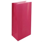 Bags Party Hot Pink Paper Pk12 