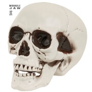 PVC Skull with Moveable Jaw Halloween Decoration 12cm - Aged Look