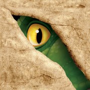 Dinosaur Party Napkins - Cocktail 3Ply  Dino Blast Pk16