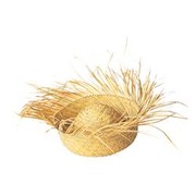 Straw Beachcomber Hat - Adult Pk 1 