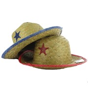 Child Straw Sheriff Hat Pk 1 