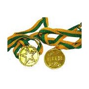 Gold Winner Medal Party Favours Pk 100 