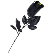 Black Rose with Dragon Eye Halloween Decoration