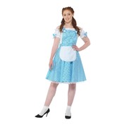 Adult Dorothy Country Girl Costume Womens X Large