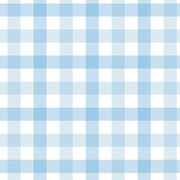 Pastel Blue Gingham Paper Lunch Napkins Pk 16