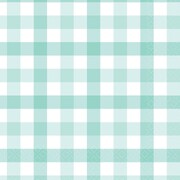 Pastel Mint Green Gingham Paper Lunch Napkins Pk 16