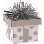 Balloon Weight Gift Box Silver Pk1