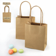 Brown Kraft Bags with Handle (Small Size) Pk 4
