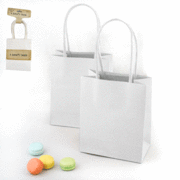 White Kraft Bags with Handle (Small Size) Pk 4