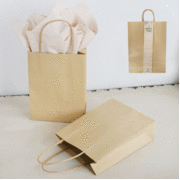 Large Kraft Brown Loot Bags with Handle (25x33cm) Pk 2