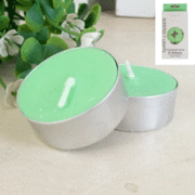 Mint Green Coconut, Lime & Verbena Scented Candle Tealights Pk 8