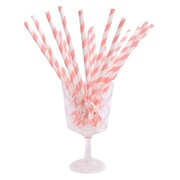 Pink & White Stripe Paper Straws Pk 20