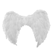 Adult White Angel Wings (60x80cm) Pk 1