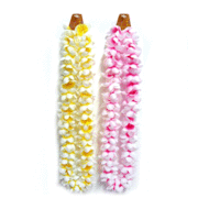 Frangipani Leis Assorted Colours Pk 2