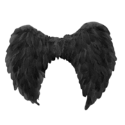 Adult Black Angel Wings (60x80cm) Pk 1