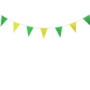 Australian Green & Gold Flag Bunting Banner Olympic Decoration