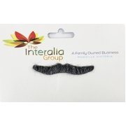 Small Grey Fake Moustache