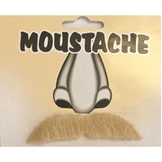Short Blonde Moustache