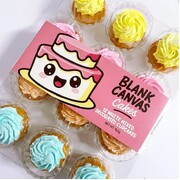 Blank Canvas Frozen White Mixed Decorated Cupcakes Pk 12