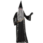 Adult Mr Wizard Robe & Hat Costume (Medium)