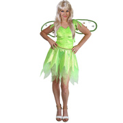 Adult Green Fairy Dress & Wings Costume (8-10)