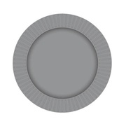 Silver Round Paper Plates 23cm (Pk 8)