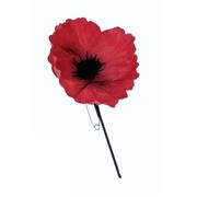 Remembrance Day Red Poppy Pin Pk 1