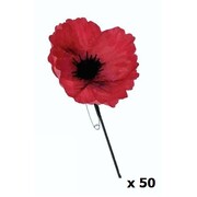 Remembrance Day Red Poppy Pin Pk 50