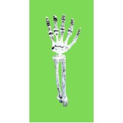 Skeleton Hand Ground Lawn Yard Stake Decoration