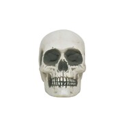 Plastic Skull Halloween Table Decoration 18 x 12.7cm