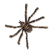Striped Furry Spider Halloween Decoration 70x17cm
