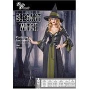 Adult Elegant Witch Dress & Hat Costume (Large)