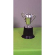 Silver Trophy (12cm) Pk 1
